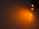 PS Image 10050