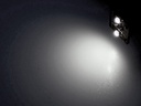 PS Image 10060