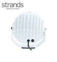 PS Image 24662