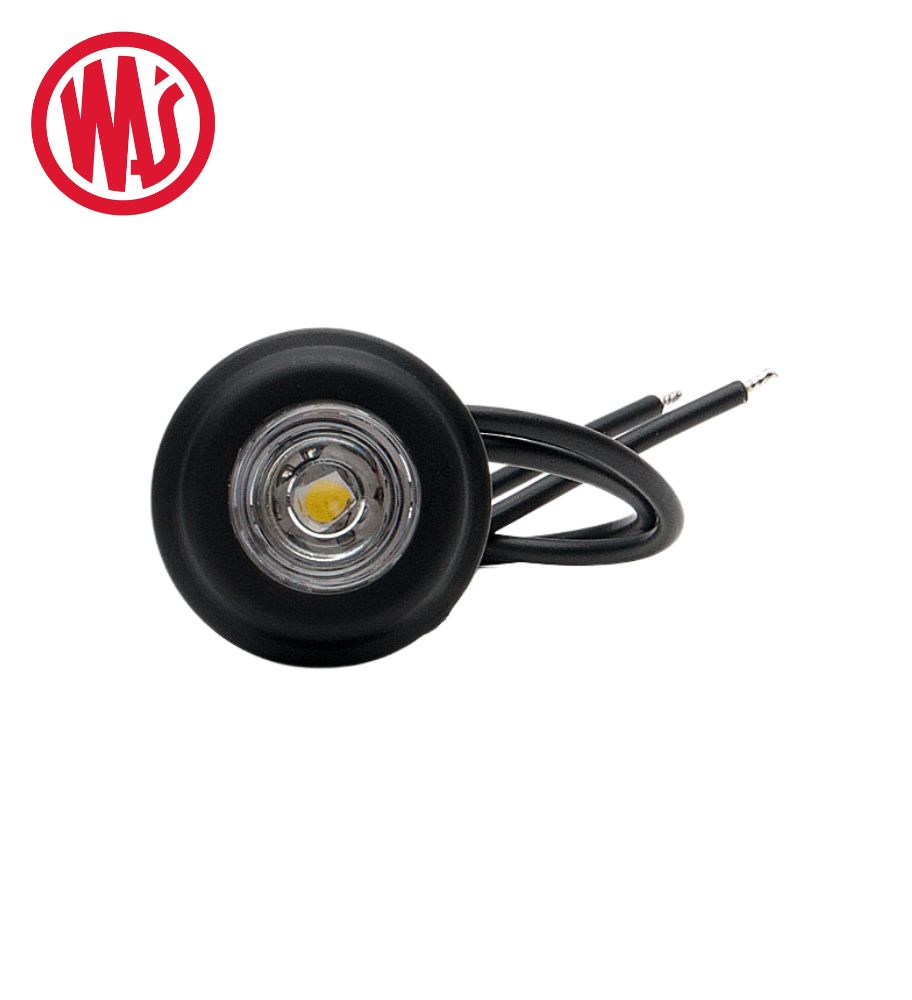 PS Image 22055