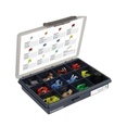 Assortiment de fusibles à fiches mini