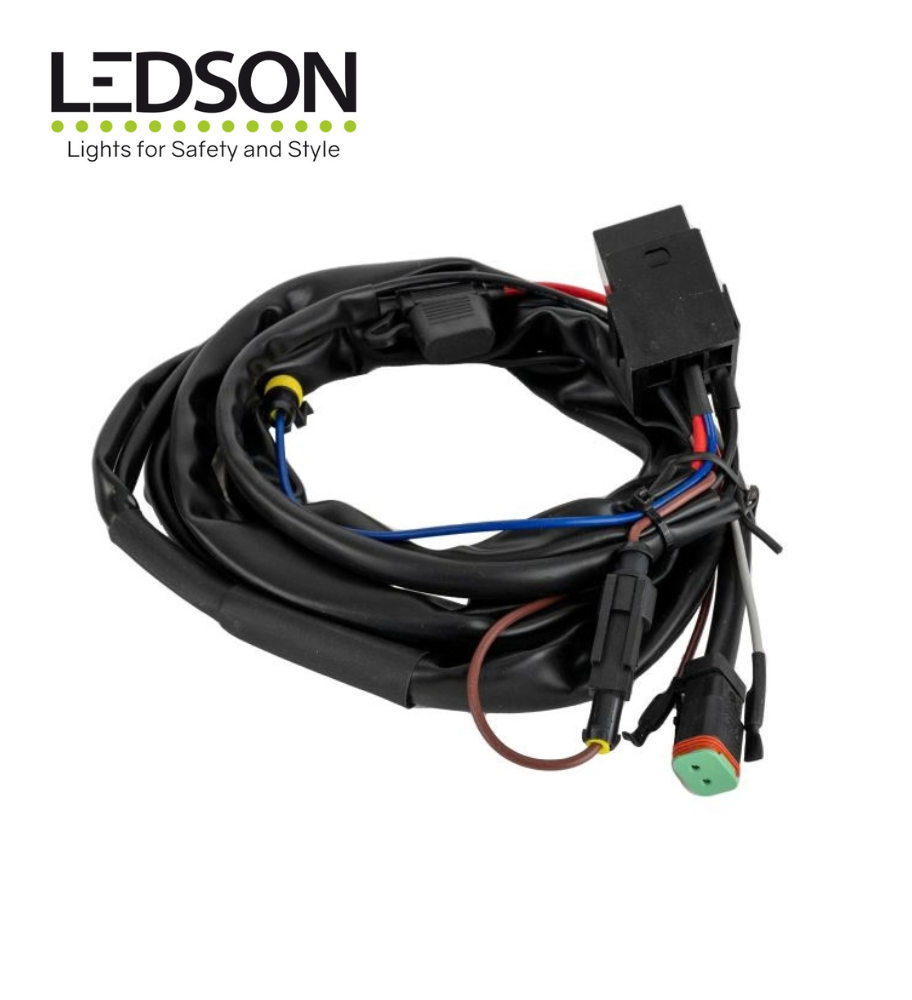 Faisceau DT 2 Pin pour longue portée 12V